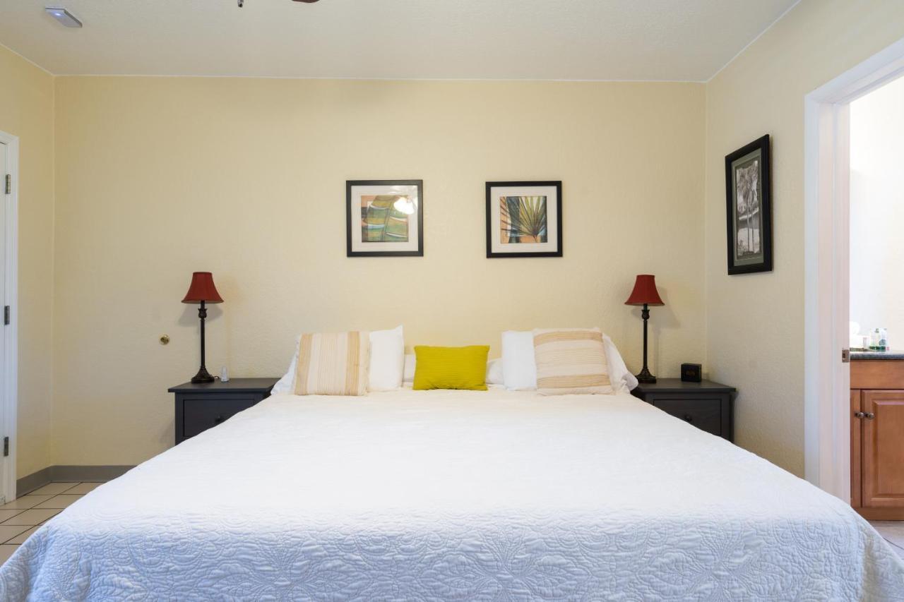 Mar Bay Exclusive Suites Safety Harbor Εξωτερικό φωτογραφία
